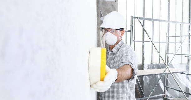 Trusted Elmwood, LA Mold Removal & Remediation Experts