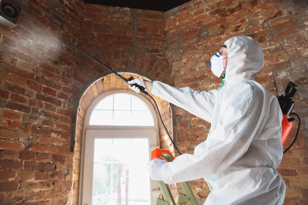 Best Commercial Mold Inspection  in Elmwood, LA