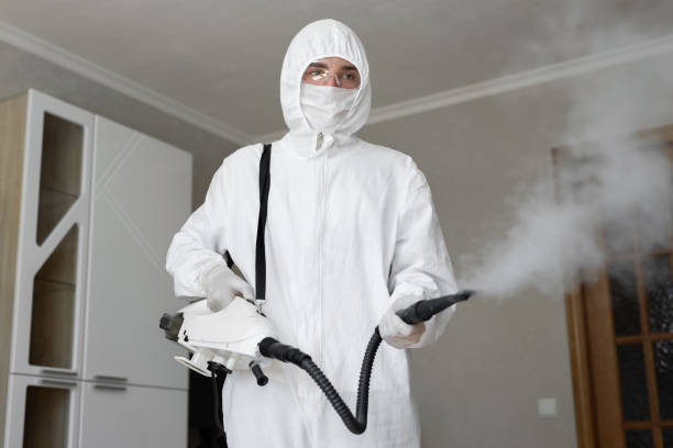 Mold Documentation for Insurance Claims in Elmwood, LA