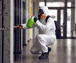 Best Emergency Mold Remediation  in Elmwood, LA